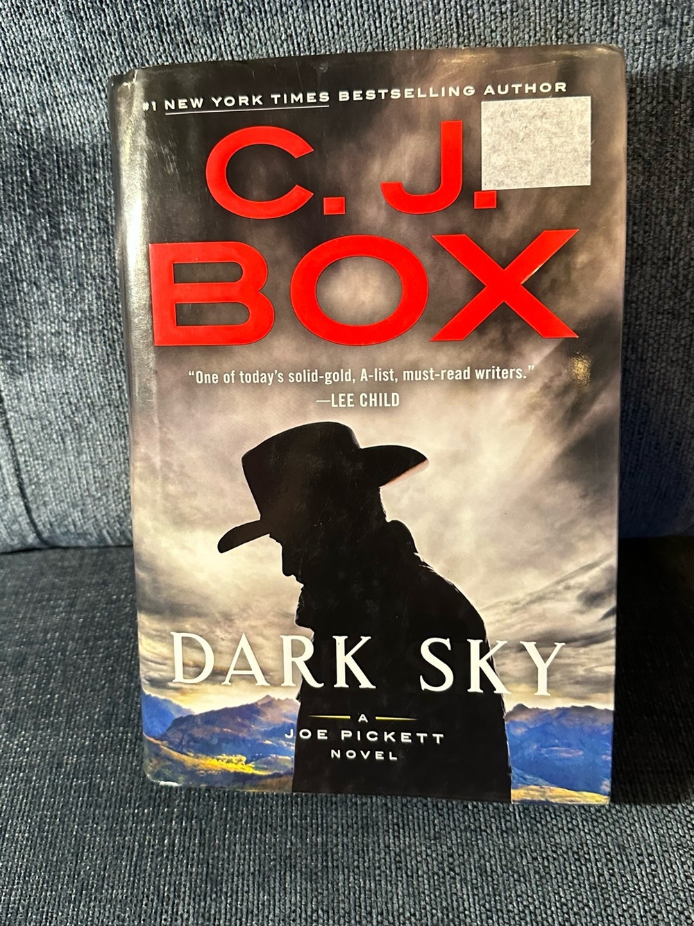 Dark Sky (Joe Pickett Novel) Hardcover #21 in the series
